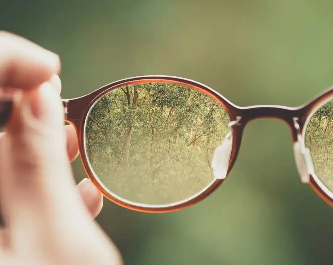 Personne tenant des lunettes mutualistes avec arbres verts en arrière-plan